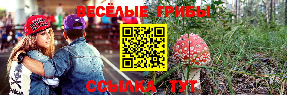 Галлюциногенные грибы мицелий Клинцы