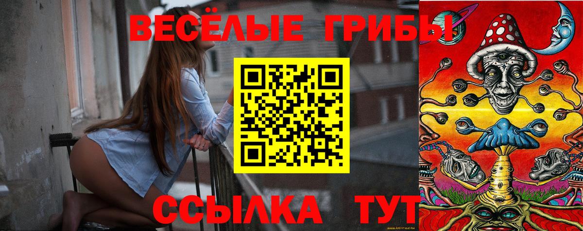 Псилоцибиновые грибы мицелий  где можно купить   Вход с VPN  Клинцы  Псилоцибиновые грибы мухоморы 